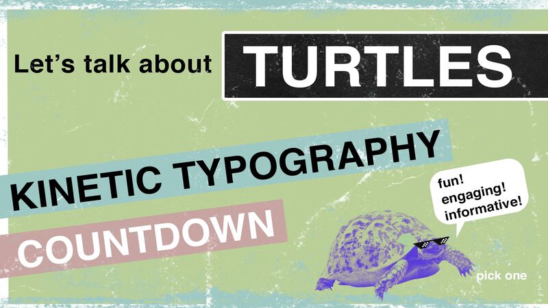 Turtle Countdown
